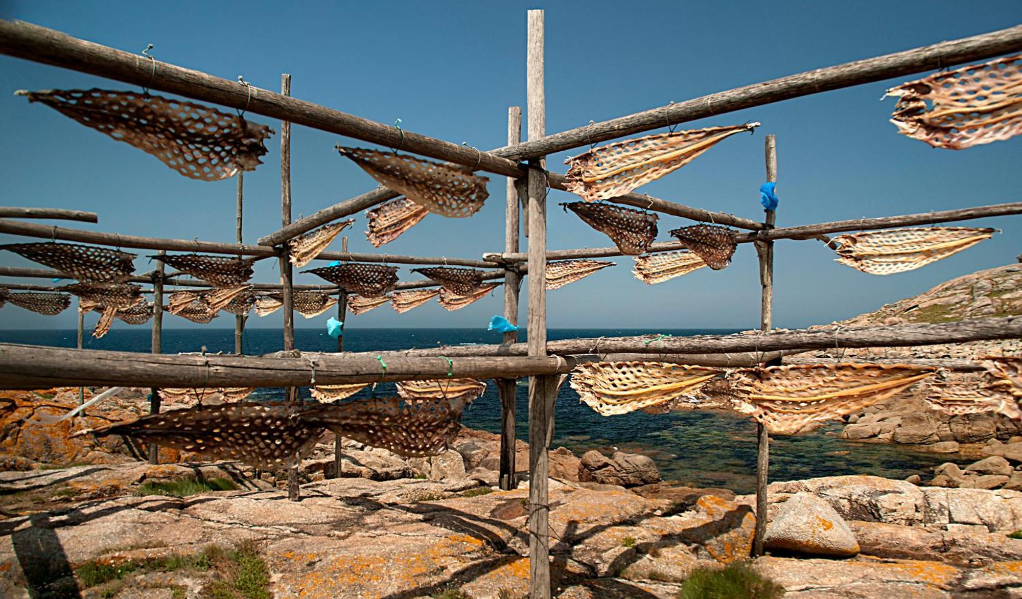 Casa Castineira ξενώνας Muxia Εξωτερικό φωτογραφία